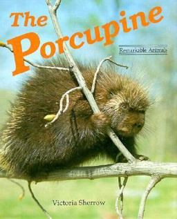 The Porcupine