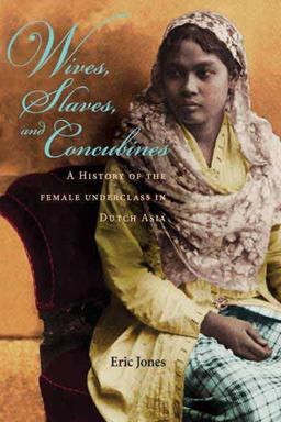 Wives, Slaves, and Concubines A History of the Female Underclass in Dutch Asia  9780875804101 Front Cover