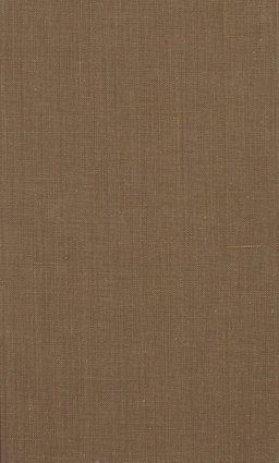 On the Enforcement of Law in Cities