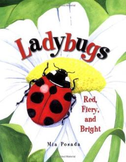 Ladybugs