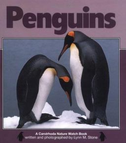 Penguins Penguins