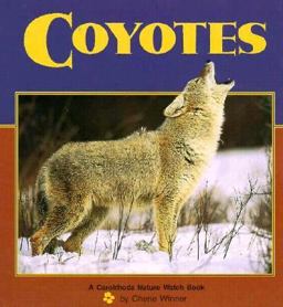 Coyotes