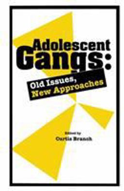 Adolescent Gangs Old Issues, New Approaches  9780876309247 Front Cover