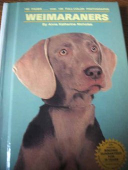 Weimaraners