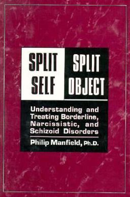 Split Self - Split Object Understanding and Treating Borderline, Narcissistic and Schizoid Disorders  9780876684603 Front Cover