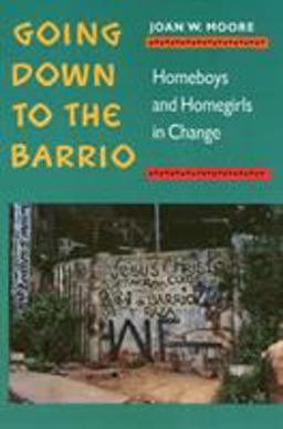 Going down to the Barrio Homeboys and Homegirls in Change  9780877228554 Front Cover