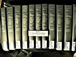 The Critical Perspective