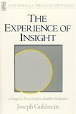 Experience of Insight A Simple and Direct Guide to Buddhist Meditation  9780877732266 Front Cover