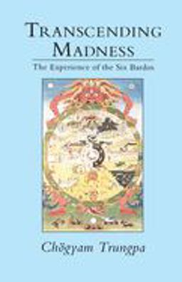 Transcending Madness The Experience of the Six Bardos  9780877736370 Front Cover