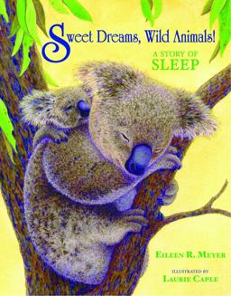 Sweet Dreams, Wild Animals!
