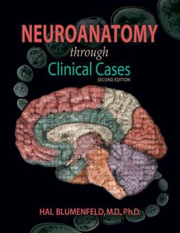Neuroanatomy Through Clinical Cases Superseded By 978-0-87893-613-7 2nd 9780878930586 Front Cover