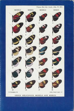 Coevolution Coevolution