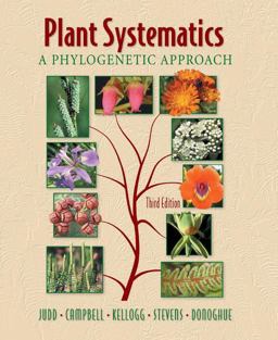 Plant Systematics A Phylogenetic Approach 3rd 9780878934072 Front Cover