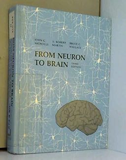 From Neuron to Brain