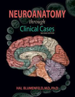 Neuroanatomy Through Clinical Cases 2nd 9780878936137 Front Cover