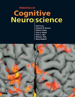 Principles of Cognitive Neuroscience  9780878936946 Front Cover