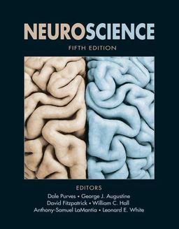 Neuroscience 5th 9780878936953 Front Cover