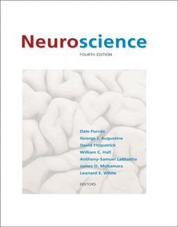 Neuroscience 4e 4th 9780878936977 Front Cover
