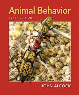 Animal Behavior An Evolutionary Approach 10th 9780878939664 Front Cover