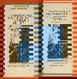 Environmental Knowing