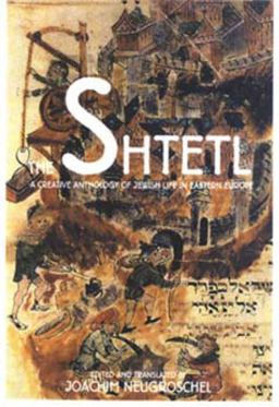 Shtetl  9780879513801 Front Cover