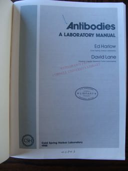 Antibodies