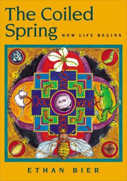 Coiled Spring How Life Begins  9780879695637 Front Cover