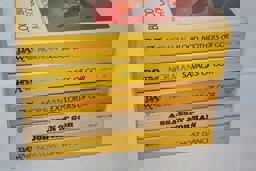 Blood Brothers of Gor