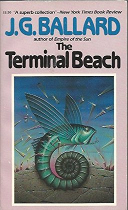 The Terminal Beach