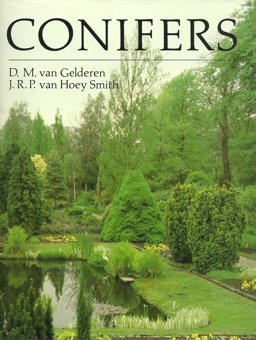 Conifers