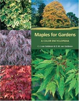 Maples for Gardens