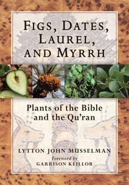 Figs, Dates, Laurel, and Myrrh Plants of the Bible and the Quran  9780881928556 Front Cover