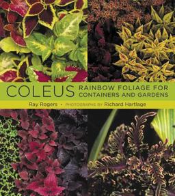 Coleus Rainbow Foliage for Containers and Gardens  9780881928655 Front Cover