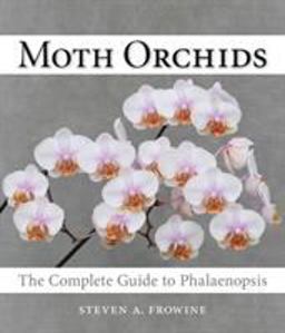 Moth Orchids The Complete Guide to Phalaenopsis  9780881928709 Front Cover