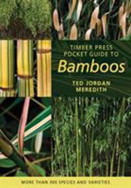 Timber Press Pocket Guide to Bamboos  9780881929362 Front Cover