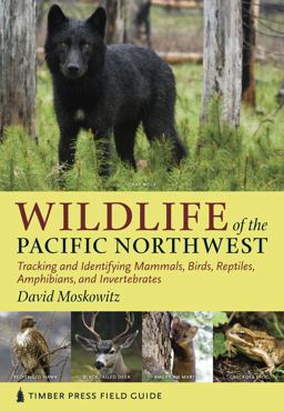 Wildlife of the Pacific Northwest Tracking and Identifying Mammals, Birds, Reptiles, Amphibians, and Invertebrates  9780881929492 Front Cover