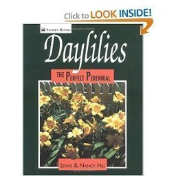 Daylilies