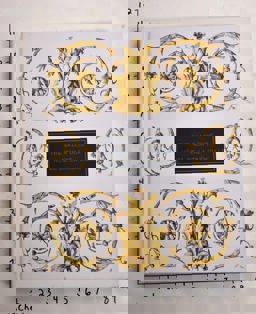 The Salon Doré from the Hôtel de la Trémoille