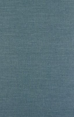 The Nursing Home Murder The Nursing Home Murder