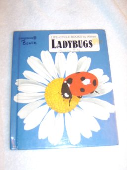 Ladybugs