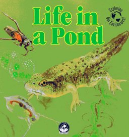 Life in a Pond