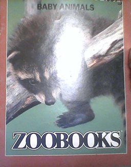 Baby Animals