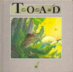 The Toad