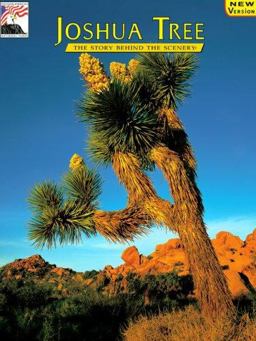 Joshua Tree