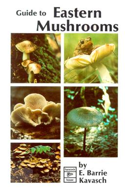 Guide to Eastern Mushrooms  9780888390912 Front Cover