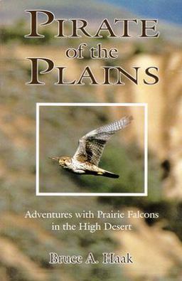 Pirates of the Plains Adventures with Prairie Falcons in the High Desert  9780888393203 Front Cover