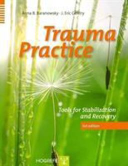 Trauma Practice Tools for Stabilization and Recovery 3rd 9780889374713 Front Cover