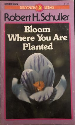 Discover How to Bloom Where You Are Planted