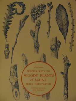 Winter Keys to Woody Plants of Maine  9780891010340 Front Cover