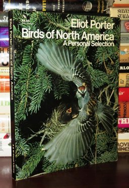 Birds of North America Birds of North America